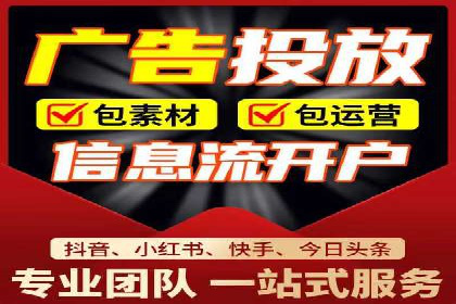 竞价广告策略案例分析