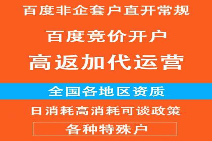 竞价广告赚钱之道：百度案例解析
